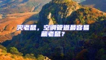滅老鼠,空調管道最容易藏老鼠?