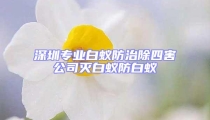 深圳專業白蟻防治除四害公司滅白蟻防白蟻