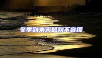 冬季到來滅鼠刻不容緩