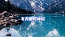 冬天用滅蟑嗎