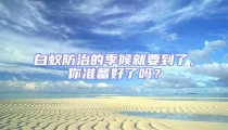 白蟻防治的季候就要到了,你準備好了嗎?