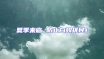 夏季來臨 防止白蟻擾民!