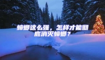 蟑螂這么強,怎樣才能徹底消滅蟑螂?