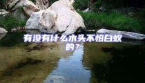 有沒有什么木頭不怕白蟻的?