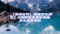 【殺蟲公司】跳蚤怎么消滅?6招教你家里有跳蚤怎么殺更徹底
