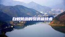 白蟻防治的引誘箱技術