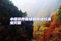 小提示養(yǎng)殖場如何進行殺蟲滅鼠