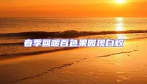 春季回暖百色果園現(xiàn)白蟻