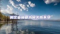 餐飲業(yè)蟑螂為何滅而不絕