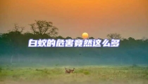 白蟻的危害竟然這么多