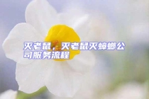 滅老鼠，滅老鼠滅蟑螂公司服務(wù)流程