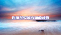 如何殺滅飯店里的蟑螂