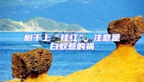 樹干上“掛紅” 注意是白蟻惹的禍