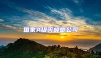 國家A級滅蟑螂公司