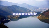 如何有效識別白蟻