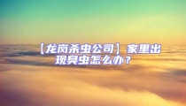 【龍崗殺蟲(chóng)公司】家里出現(xiàn)臭蟲(chóng)怎么辦?
