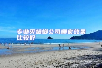 專業(yè)滅蟑螂公司哪家效果比較好