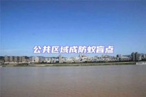 公共區(qū)域成防蟻盲點(diǎn)