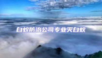 白蟻防治公司專業滅白蟻