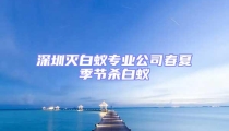 深圳滅白蟻專業公司春夏季節殺白蟻
