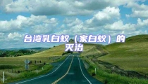 臺灣乳白蟻(家白蟻)的滅治