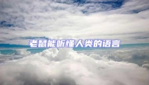 老鼠能聽懂人類的語言