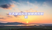 冬天是北方滅蟑螂的好時機