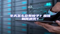 冬天怎么會有蚊子?應該如何消滅?