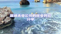 深圳殺蟲公司的除蟲妙招分享