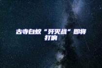 古寺白蟻“殲滅戰”即將打響