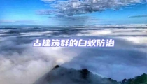 古建筑群的白蟻防治