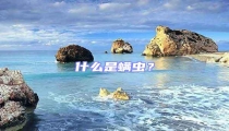 什么是螨蟲(chóng)?