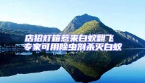 店招燈箱惹來白蟻翻飛 專家可用除蟲劑殺滅白蟻