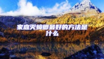 家庭滅蟑螂最好的方法是什么