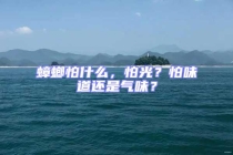 蟑螂怕什么，怕光？怕味道還是氣味？