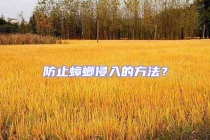 防止蟑螂侵入的方法？