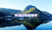 防治白蟻應(yīng)抓早