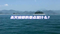 殺滅蟑螂的要點是什么?
