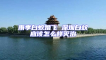 雨季白蟻婚飛 深圳白蟻應(yīng)該怎么樣滅治