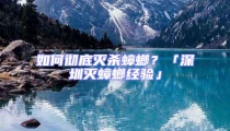 如何徹底滅殺蟑螂?「深圳滅蟑螂經驗」
