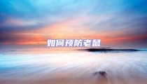 如何預防老鼠