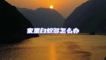 家里白蟻多怎么辦