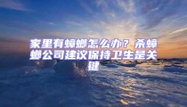 家里有蟑螂怎么辦？殺蟑螂公司建議保持衛生是關鍵