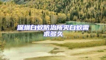 深圳白蟻防治所滅白蟻需求多久