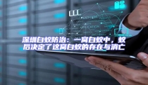 深圳白蟻防治:一窩白蟻中,蟻后決定了這窩白蟻的存在與消亡